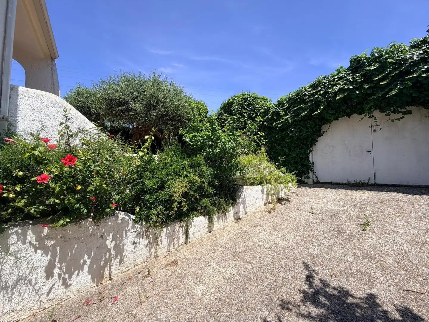Jardí de Casa o xalet en venda en Cunit amb Jardí privat, Terrassa i Traster