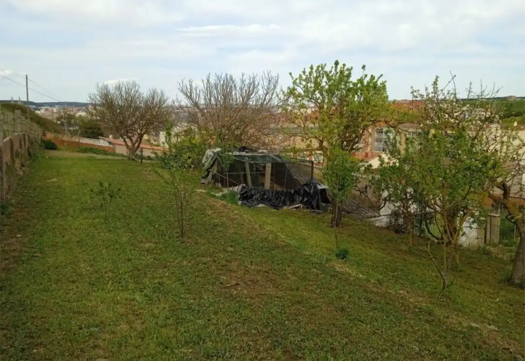 Rural land for sale in Zona Sur - Barrio Cortes, imagen 2