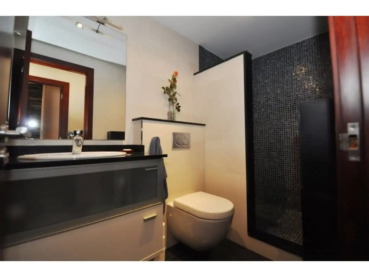 Baño de Casa o chalet en venta en Blanes con Calefacción, Parquet y Terraza