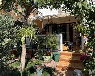 Jardí de Casa adosada de lloguer en Puerto de la Cruz amb Jardí privat, Terrassa i Moblat