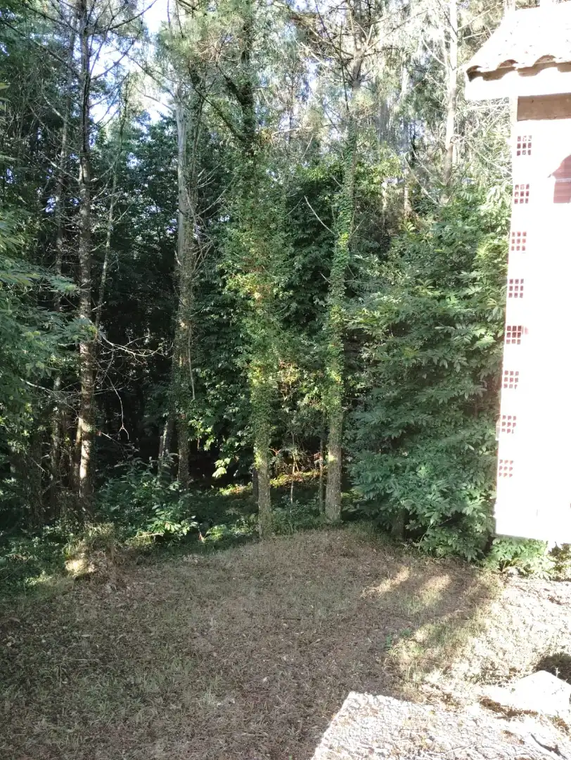 Houses for sale in Outes
