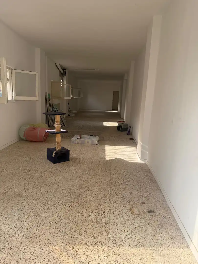 Lofts for sale in Sant Jaume d'Enveja