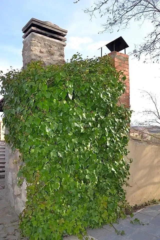 Vista exterior de Finca rústica en venta en Fuentespina con Amueblado