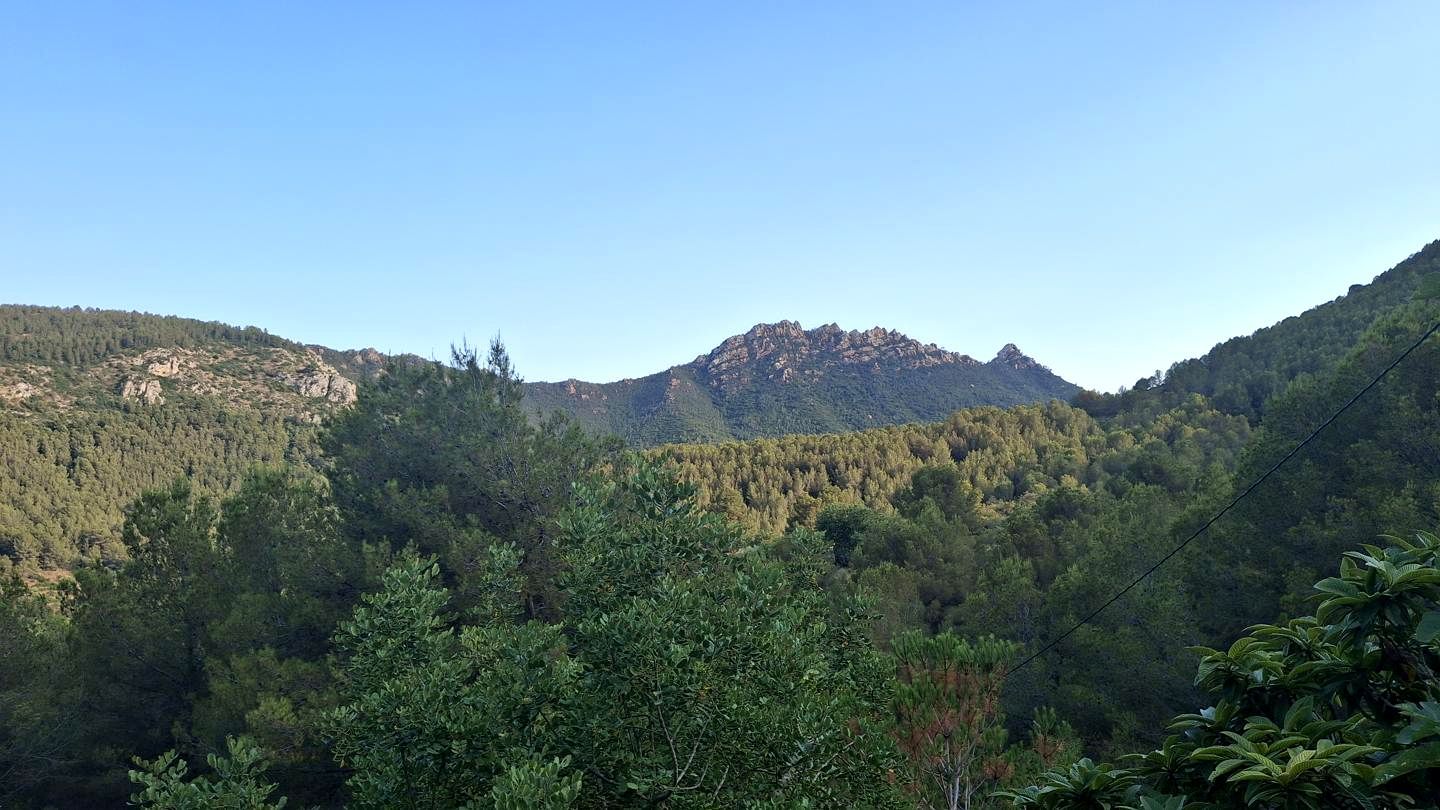 Exterior view of Country house for sale in Cabanes  with Private garden, Terrace and Swimming Pool