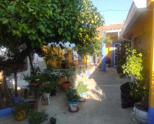 Garden of House or chalet for sale in Olivenza