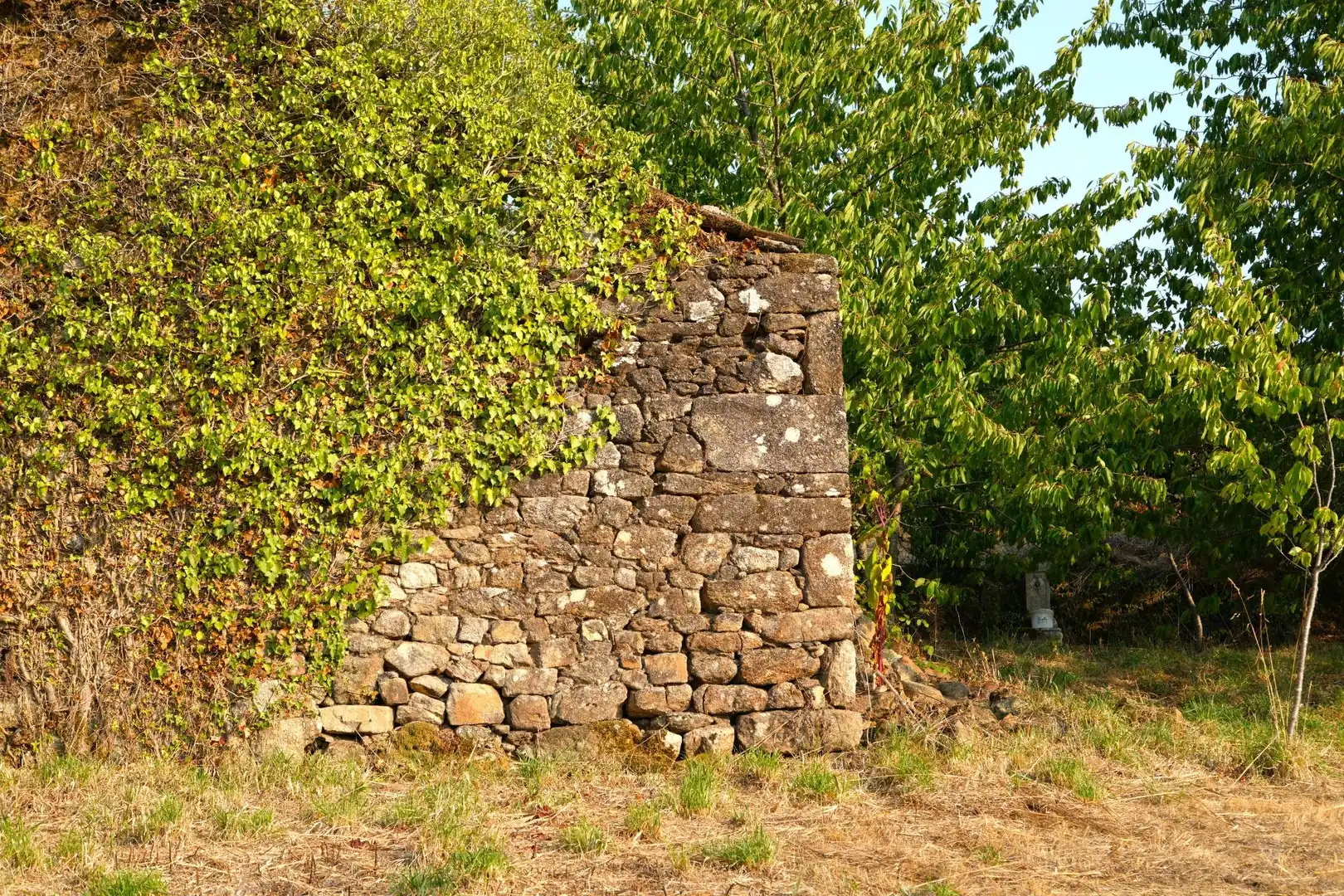 Lands and plots for sale in Lugar Estrada 521, imagen 13