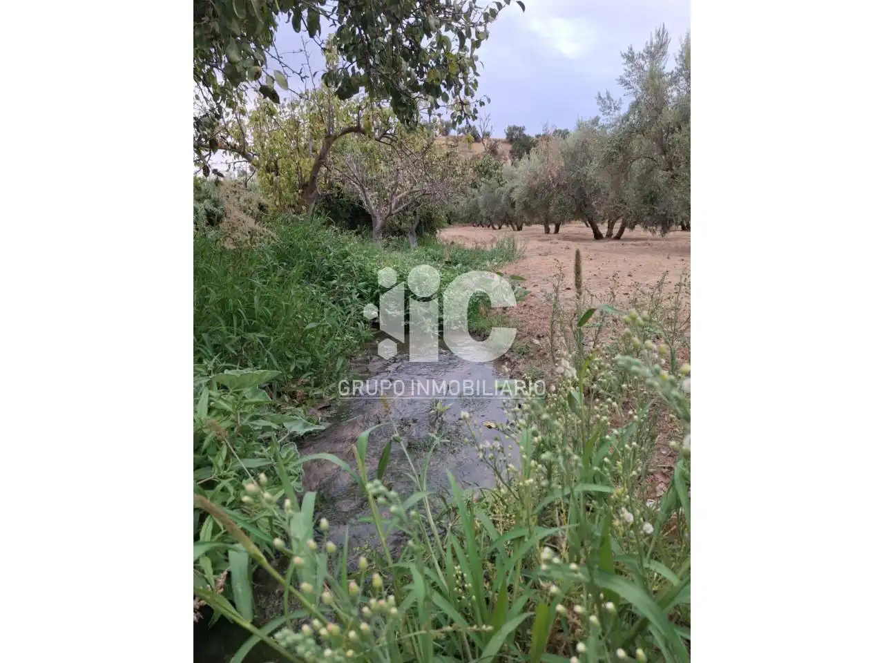 Terreny residencial en venda a Baena, imagen 2