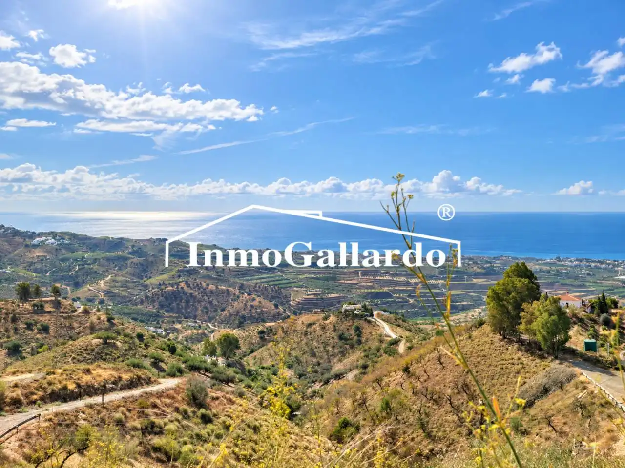 Casa con jardín en venta en Vélez-Málaga ciudad, imagen 6