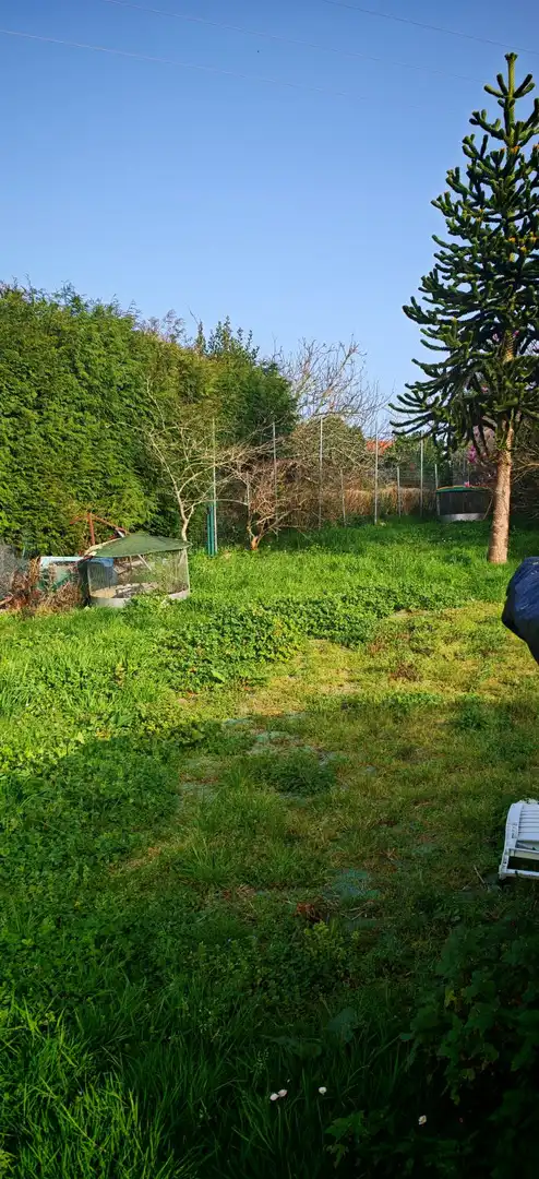 Terreni e lotti in vendita a Fene, imagen 9