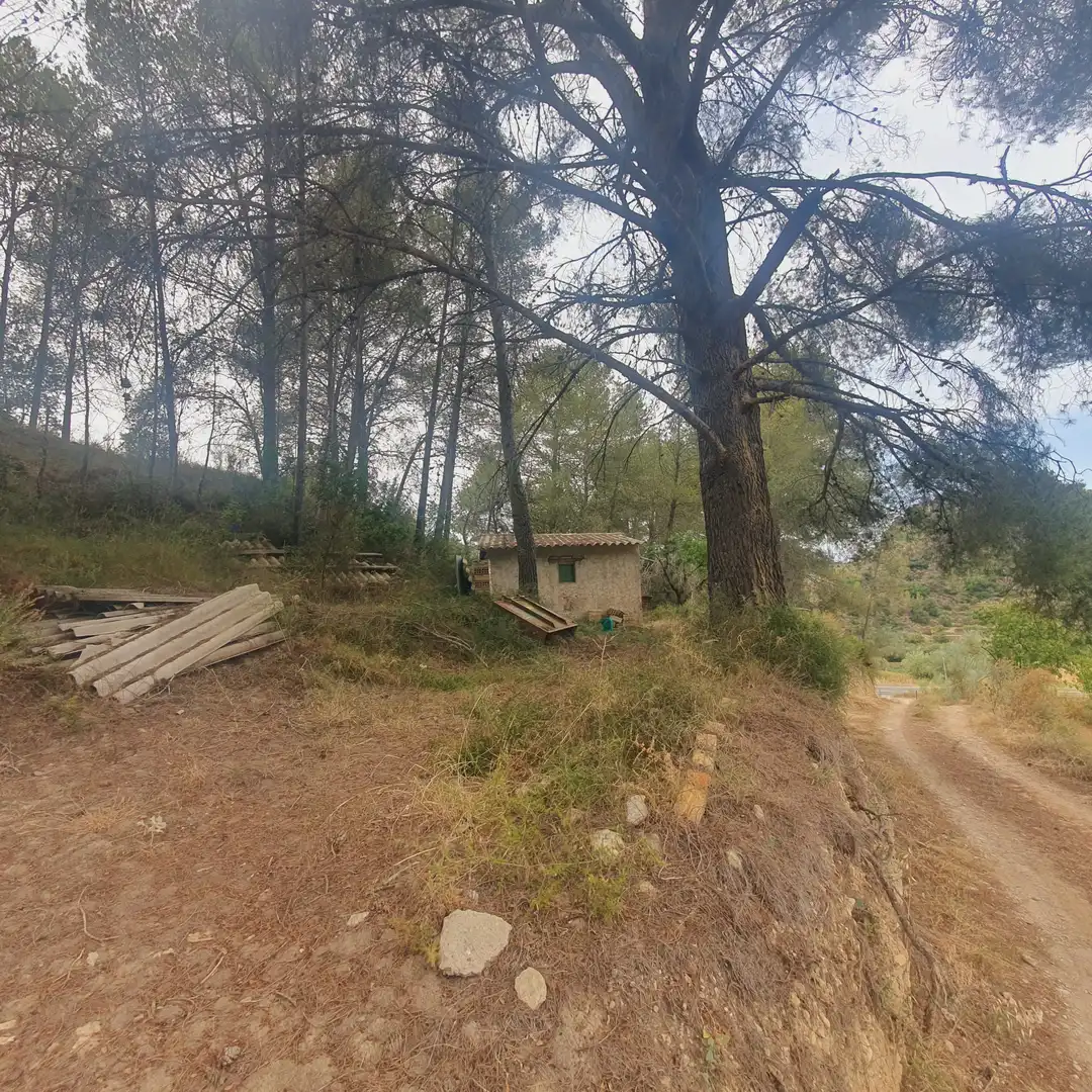 Terreno rústico en venta en Benifallet, imagen 18