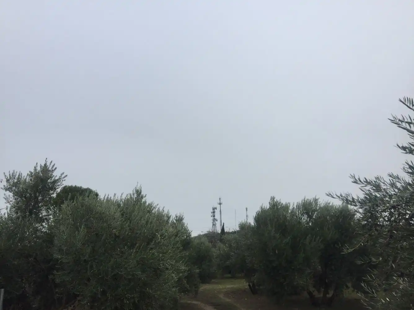 Terrenos y solares en venta en Úbeda, imagen 3