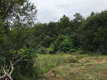Rustikales Grundstück zum Verkauf in DEGO