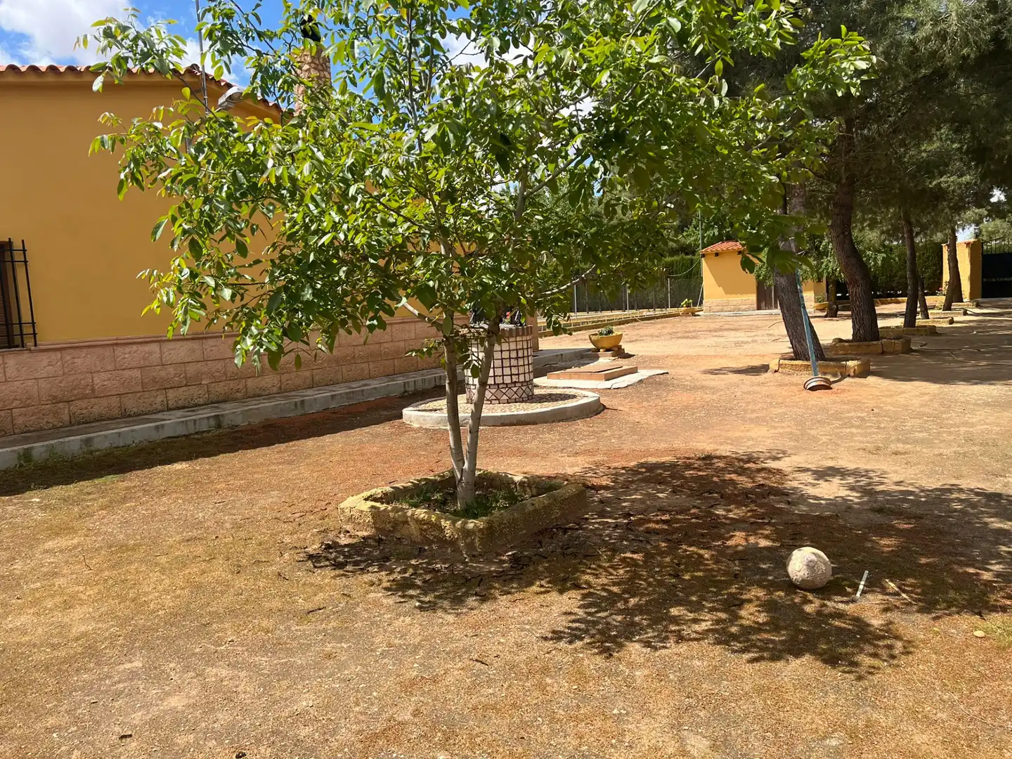 Jardín de Terreno en venta en Villarrobledo