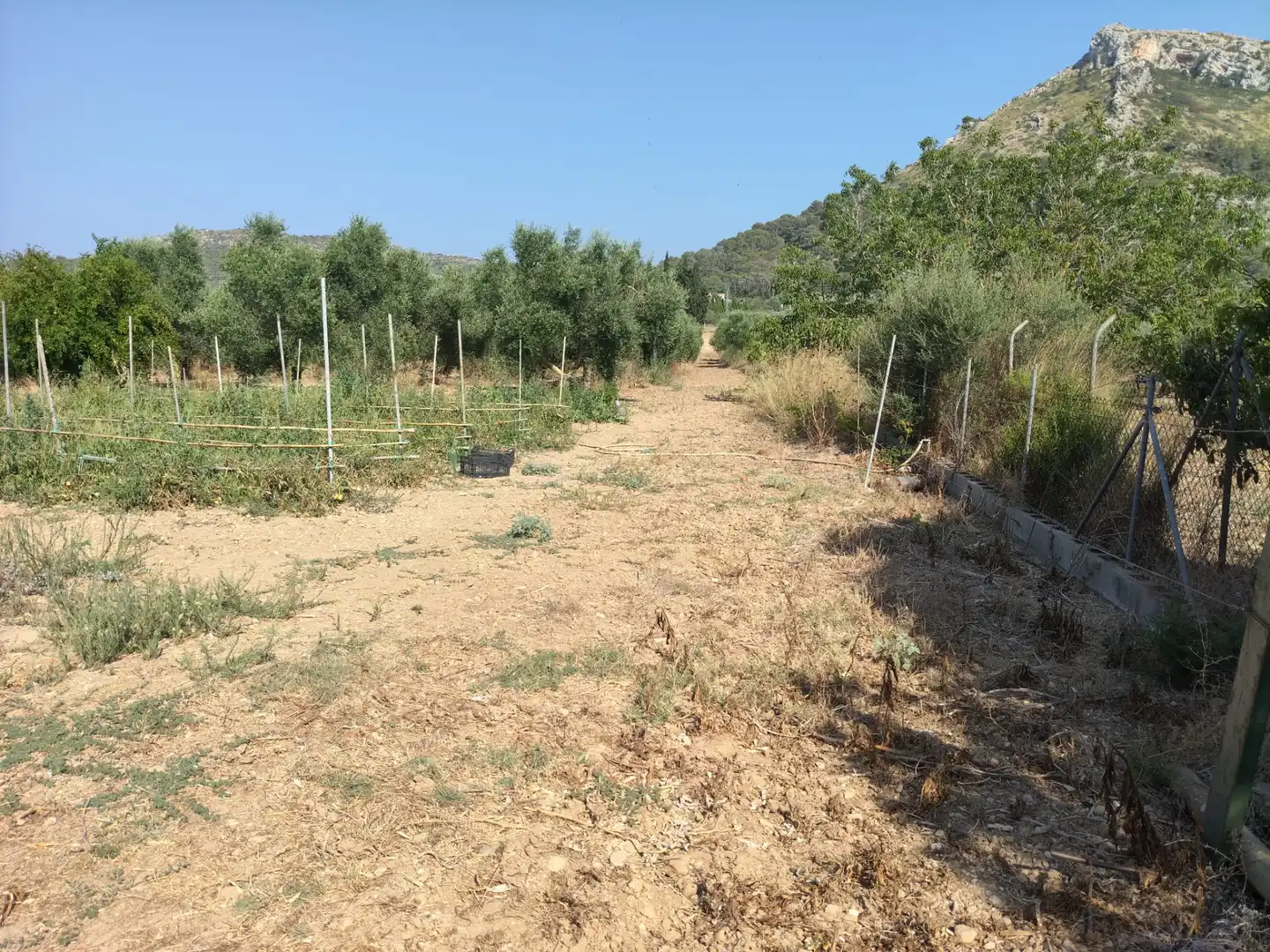 Rustikales Grundstück zum Verkauf in Ciutat d'Alcúdia, imagen 7