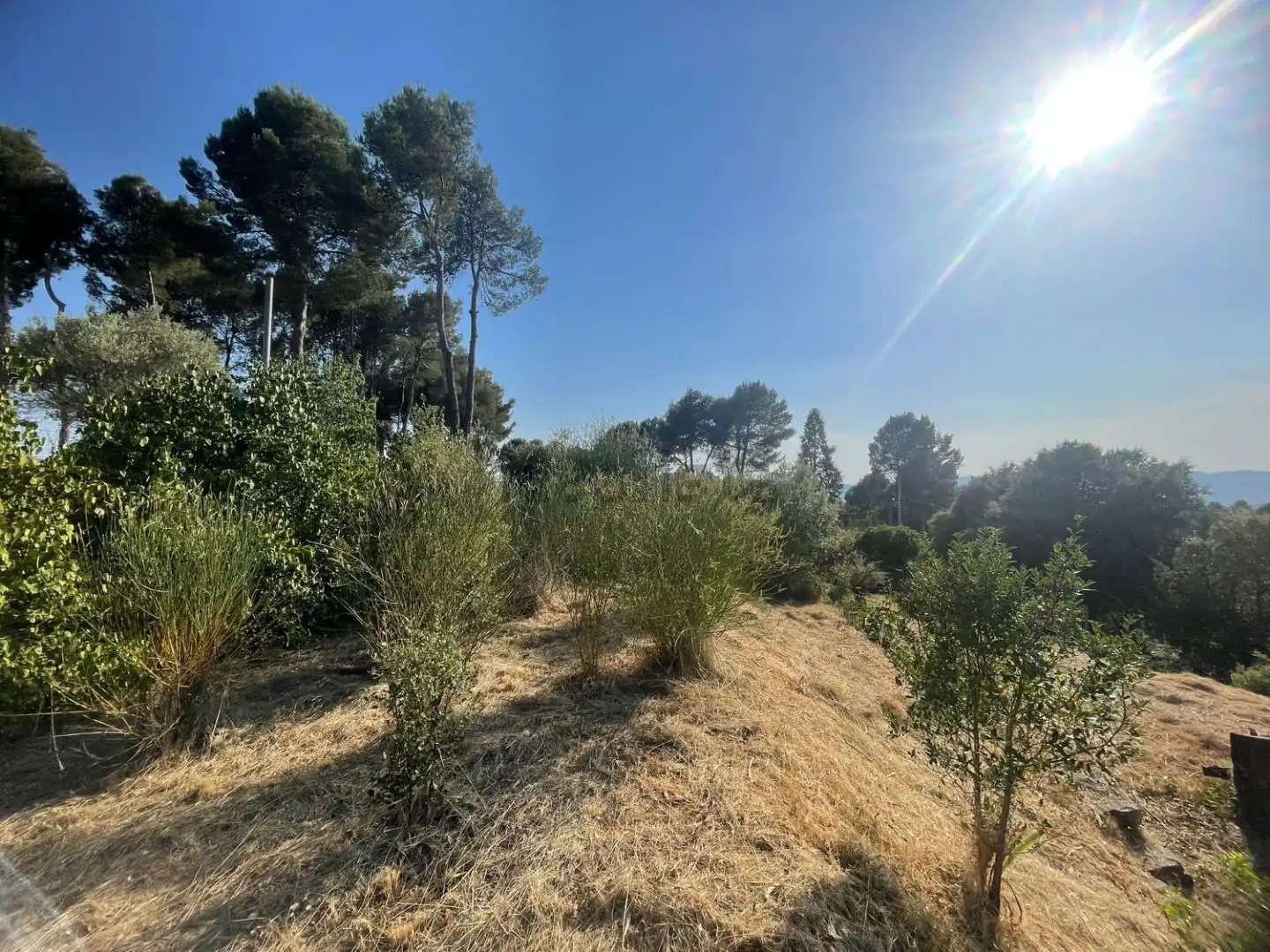 Residential land for sale in dels Avets 36, imagen 11