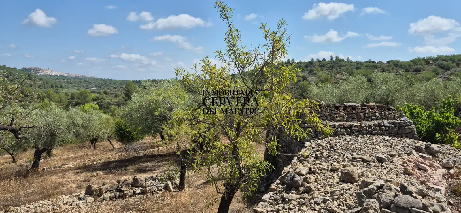 Terreno rustico in vendita a Cervera del Maestre, imagen 11