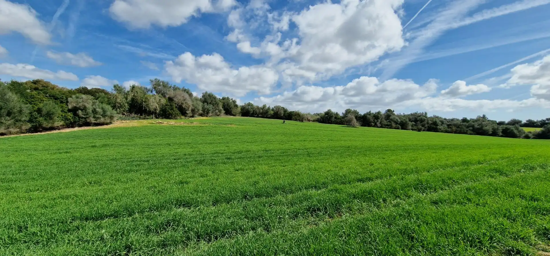 Country homes for sale in Manacor