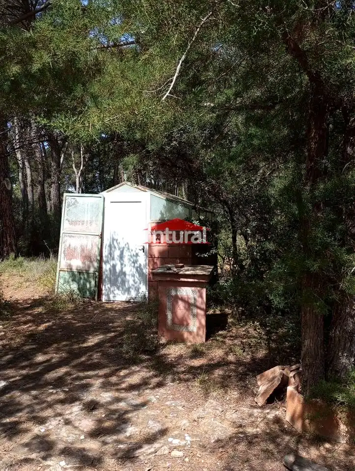 Maison avec piscine à vendre à Urbanización Pinares del Júcar, imagen 5