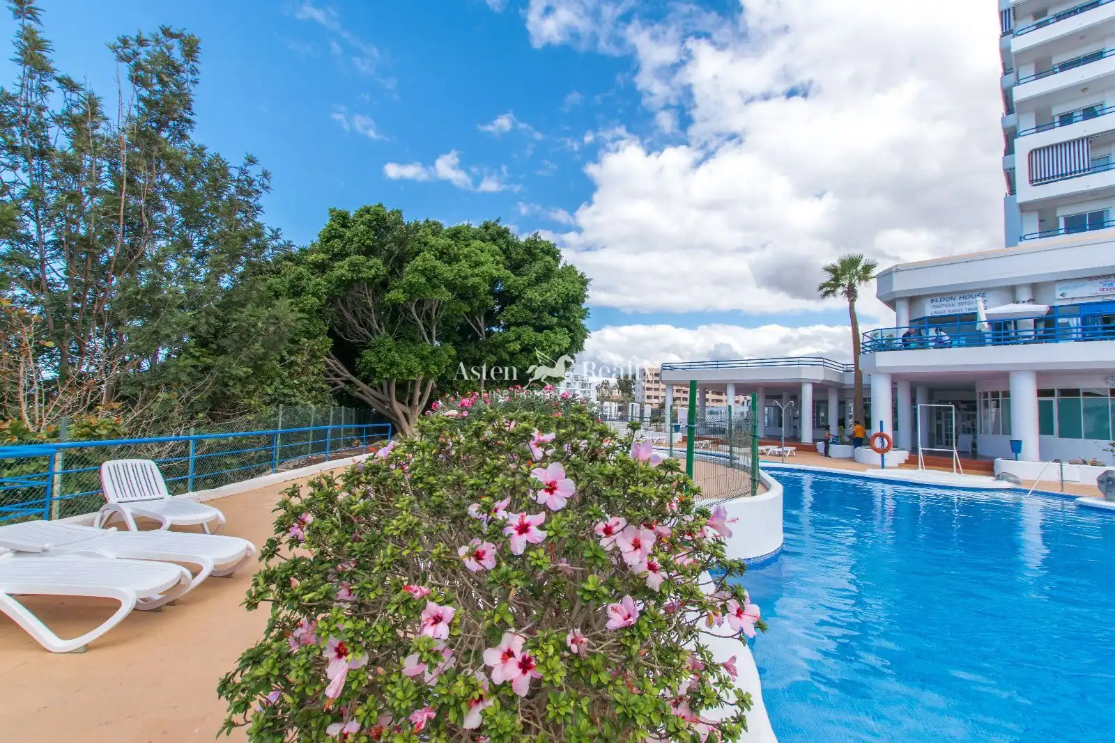 Studio with pool for sale in Adeje 300 16, imagen 3