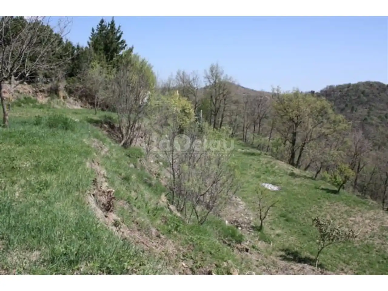 Residential land for sale in Muntanyola, imagen 4