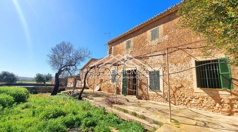Foto 2 de Finca rústica en venda a Sa Casa Blanca, Palma de Mallorca