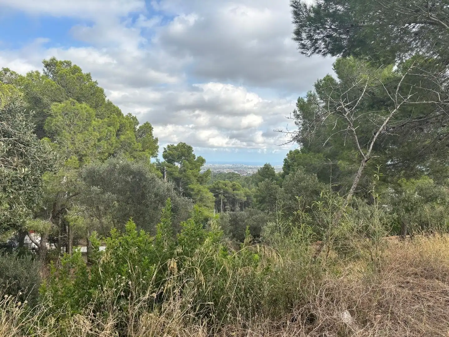 Terreny residencial en venda a del Puig 13, imagen 11