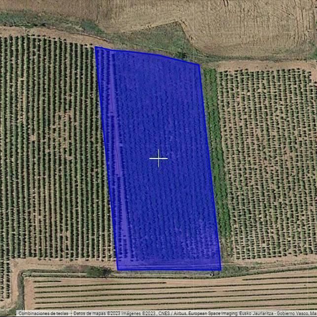 Land for sale in Azofra
