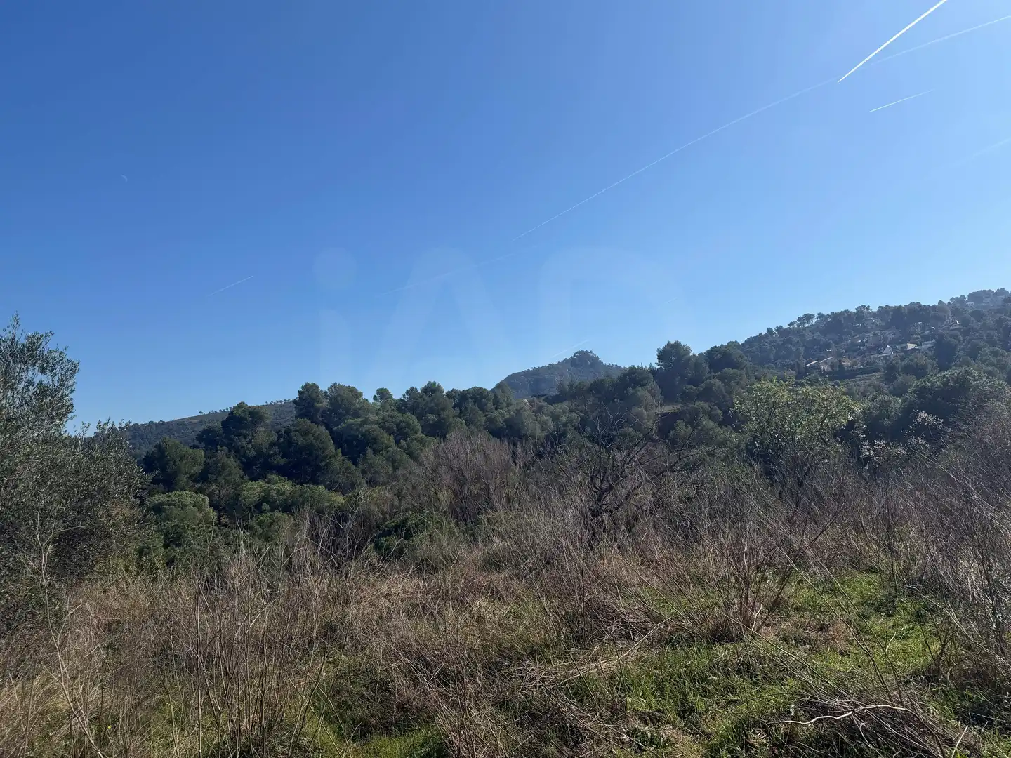Rural land for sale in Castellví de Rosanes, imagen 12