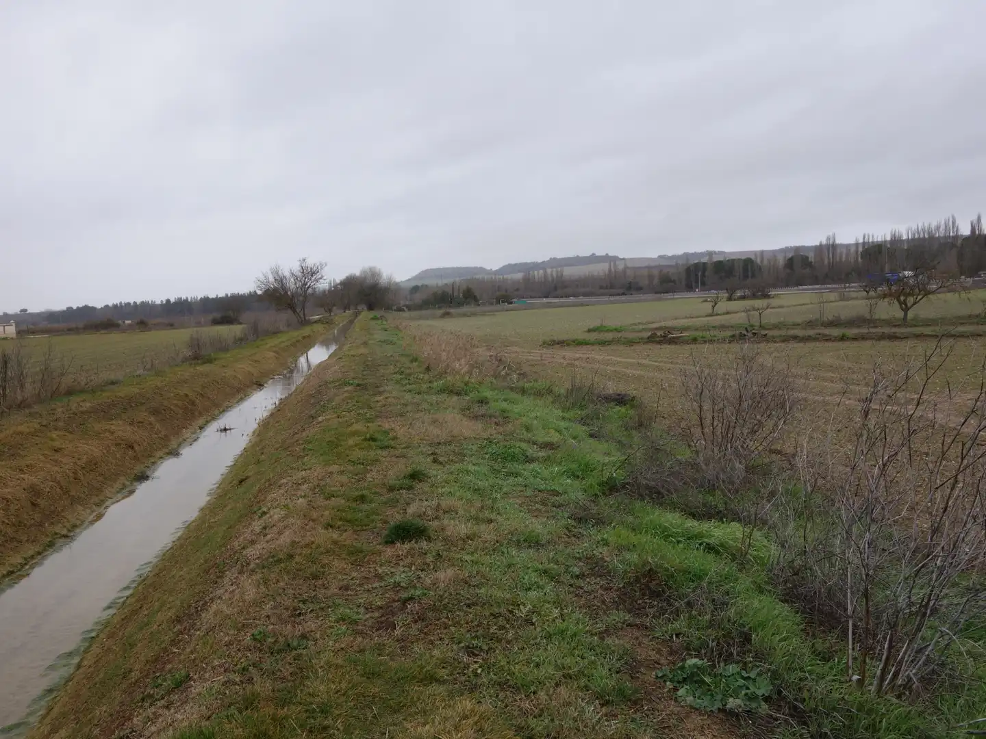 Terreno rustico in vendita a Tudela de Duero, imagen 5