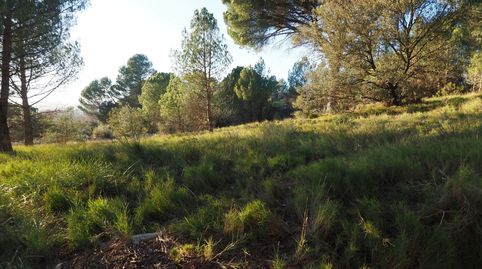TERRENY EN VENDA A SANT JAUME SES OLIVERES, imatge 3