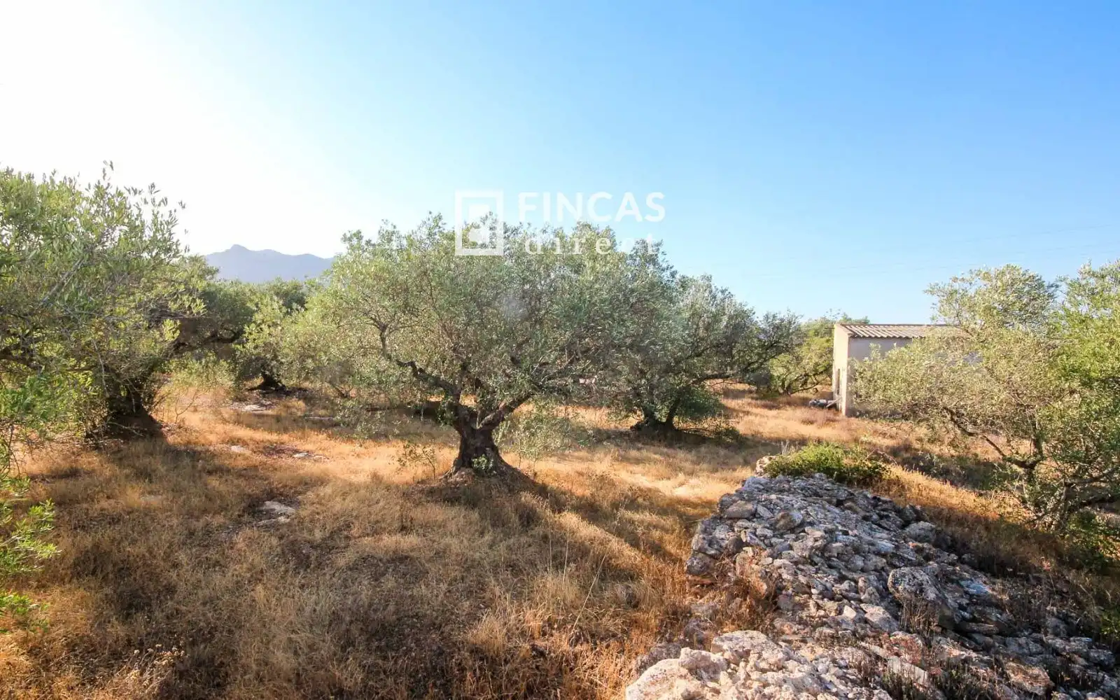 Country homes for sale in Xerta