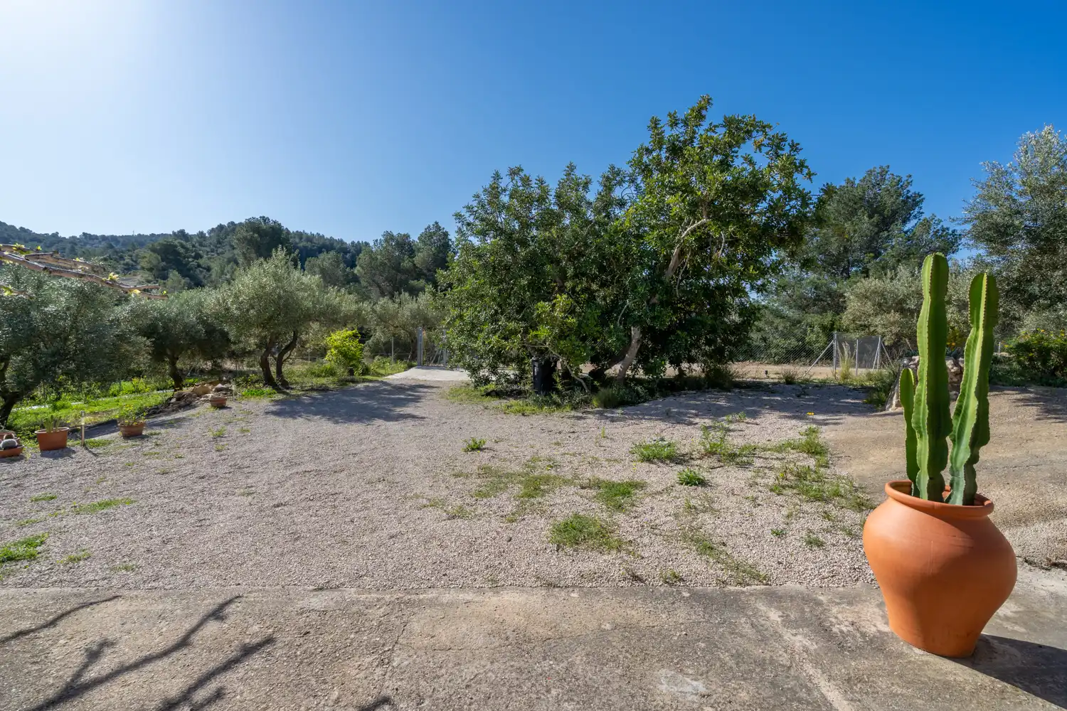 Casa o xalet en venda en Tortosa amb Jardí privat, Moblat i Rentadora