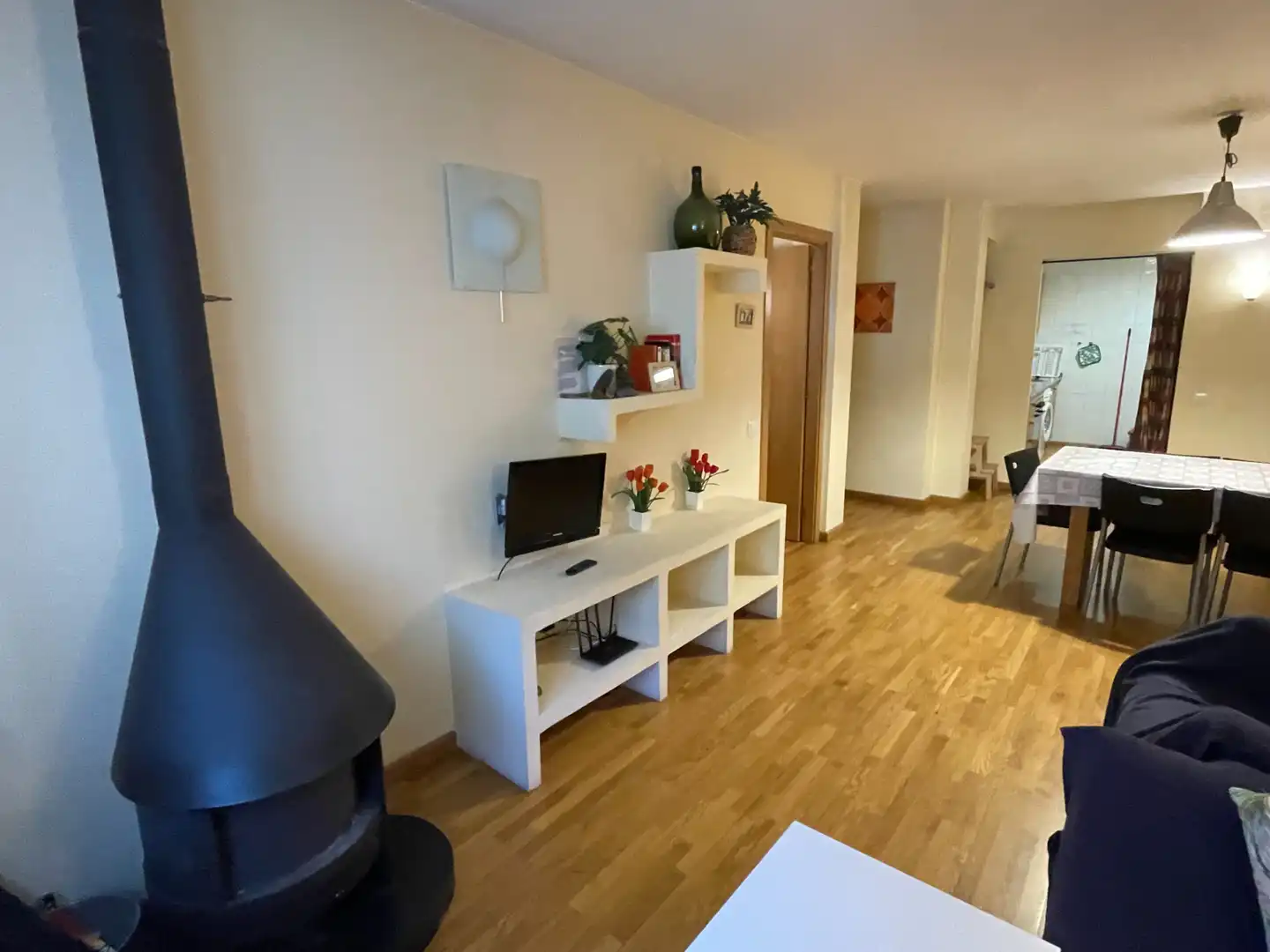Wohnzimmer von Wohnungen zum Verkauf in Vall de Cardós mit Heizung, Parkett und Möbliert