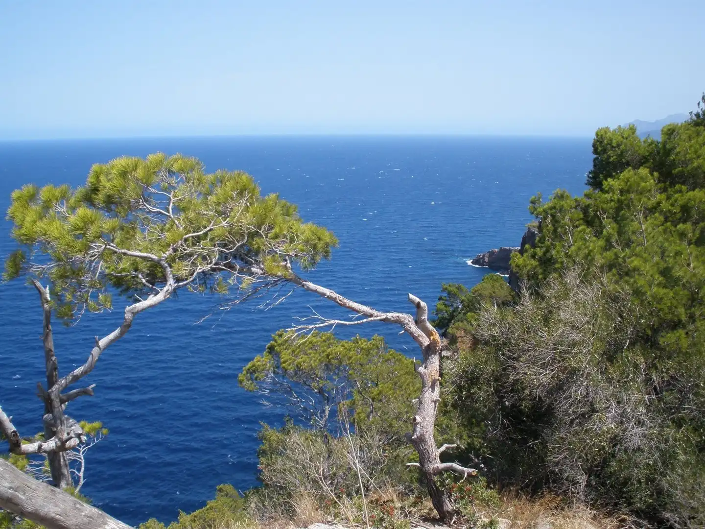 Houses for sale in Pollença  with Private garden, Terrace and Storage room