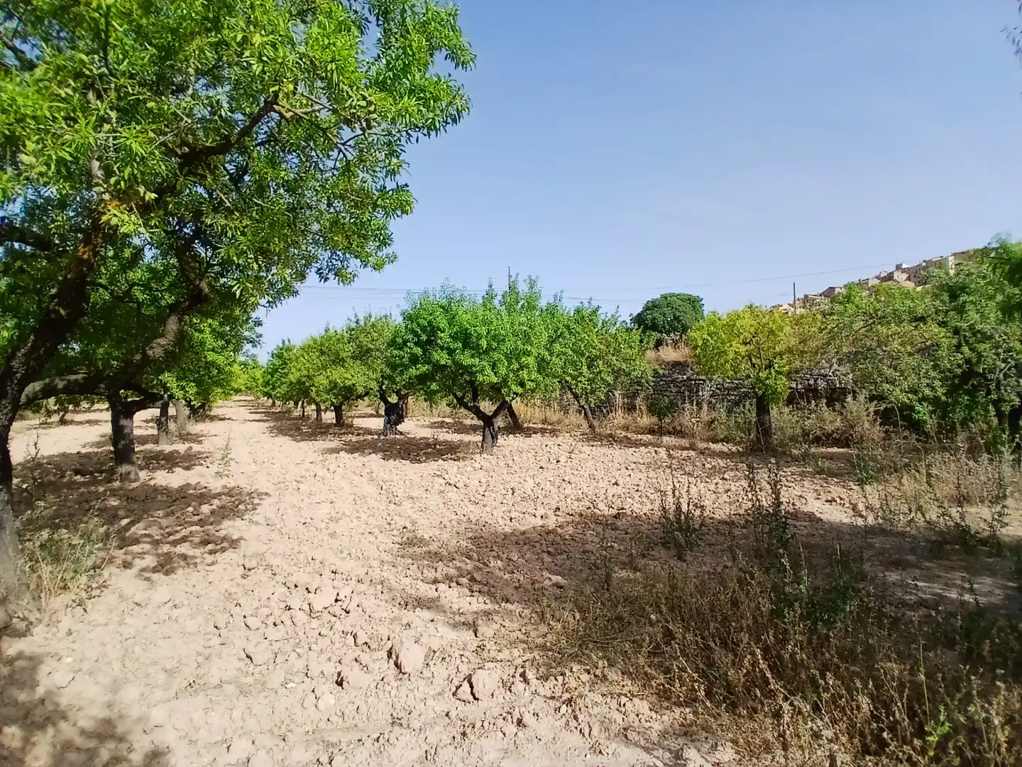 Rural land for sale in Horta de Sant Joan, imagen 7