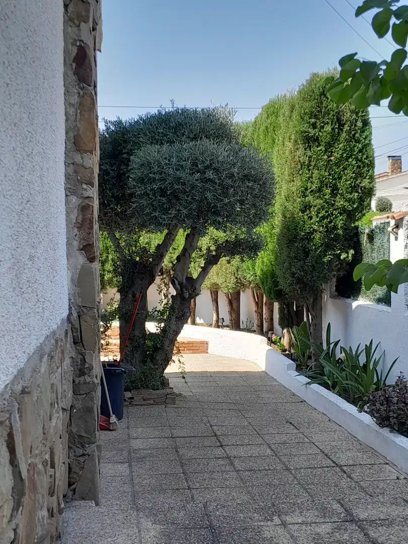 Jardín de Casa o chalet en venta en Cobisa con Calefacción, Jardín privado y Amueblado