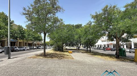 Foto 5 de Edifici en venda a Calle Virgo, El Rocío - La Milagrosa, Jerez de la Frontera