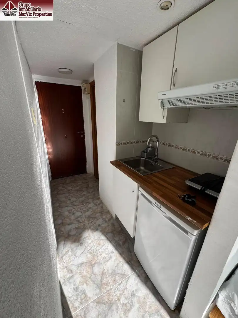 Cuina de Estudi en venda en Benidorm amb Jardí privat, Moblat i Piscina comunitària