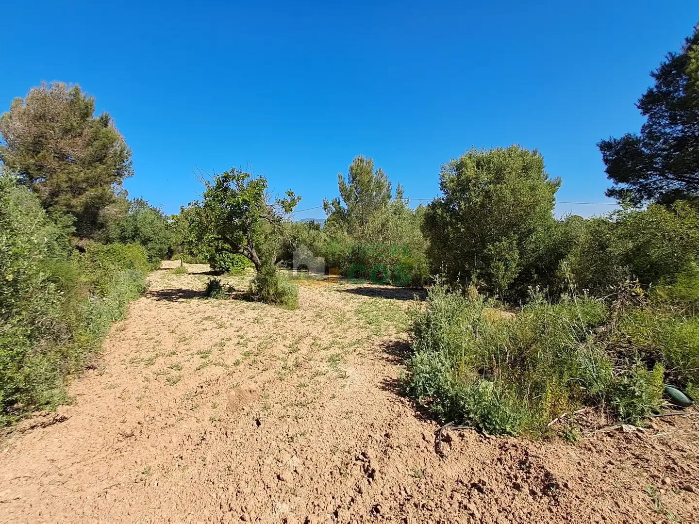 House with garden for sale in Ponent, imagen 7