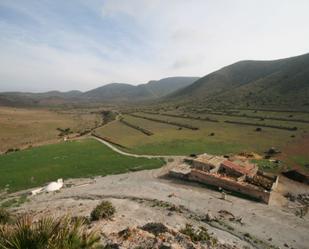 Exterior view of Country house for sale in Níjar