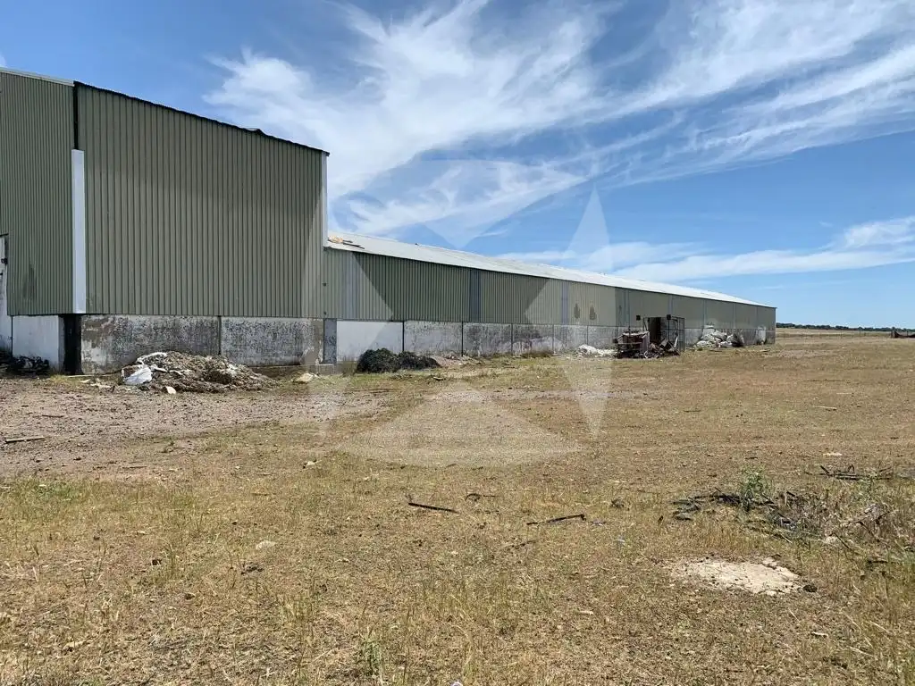 Industrial buildings for rent in Olivenza, Olivenza