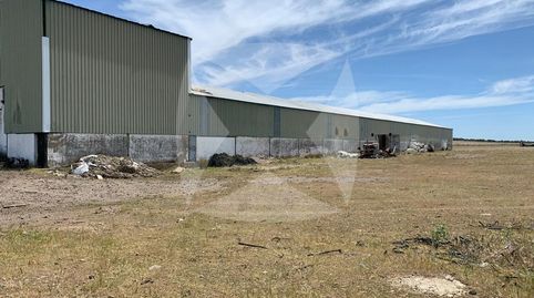 Foto 3 von Fabrikhallen zur Miete in Olivenza, Olivenza, Badajoz