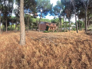 Casa in vendita a Laguna de Duero
