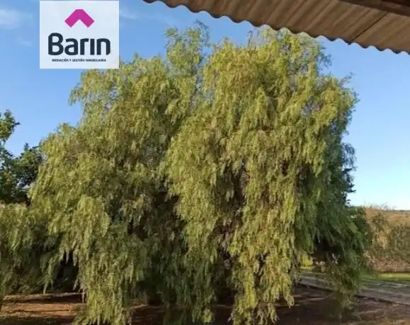 Terreny rústic en venda a Almodóvar del Río, imagen 6