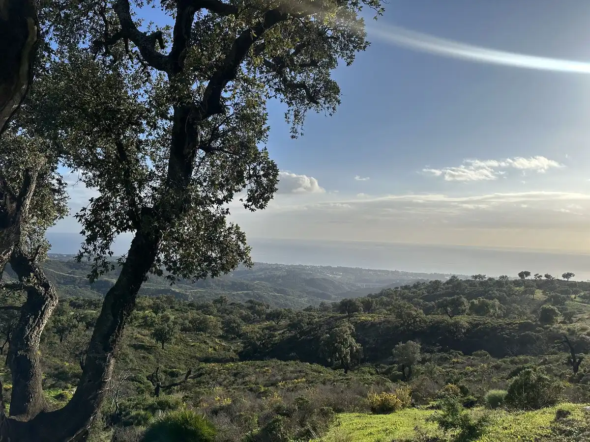 Vista exterior de Residencial en venta en Ojén