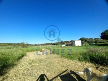 Terreno rustico in vendita a Valsequillo