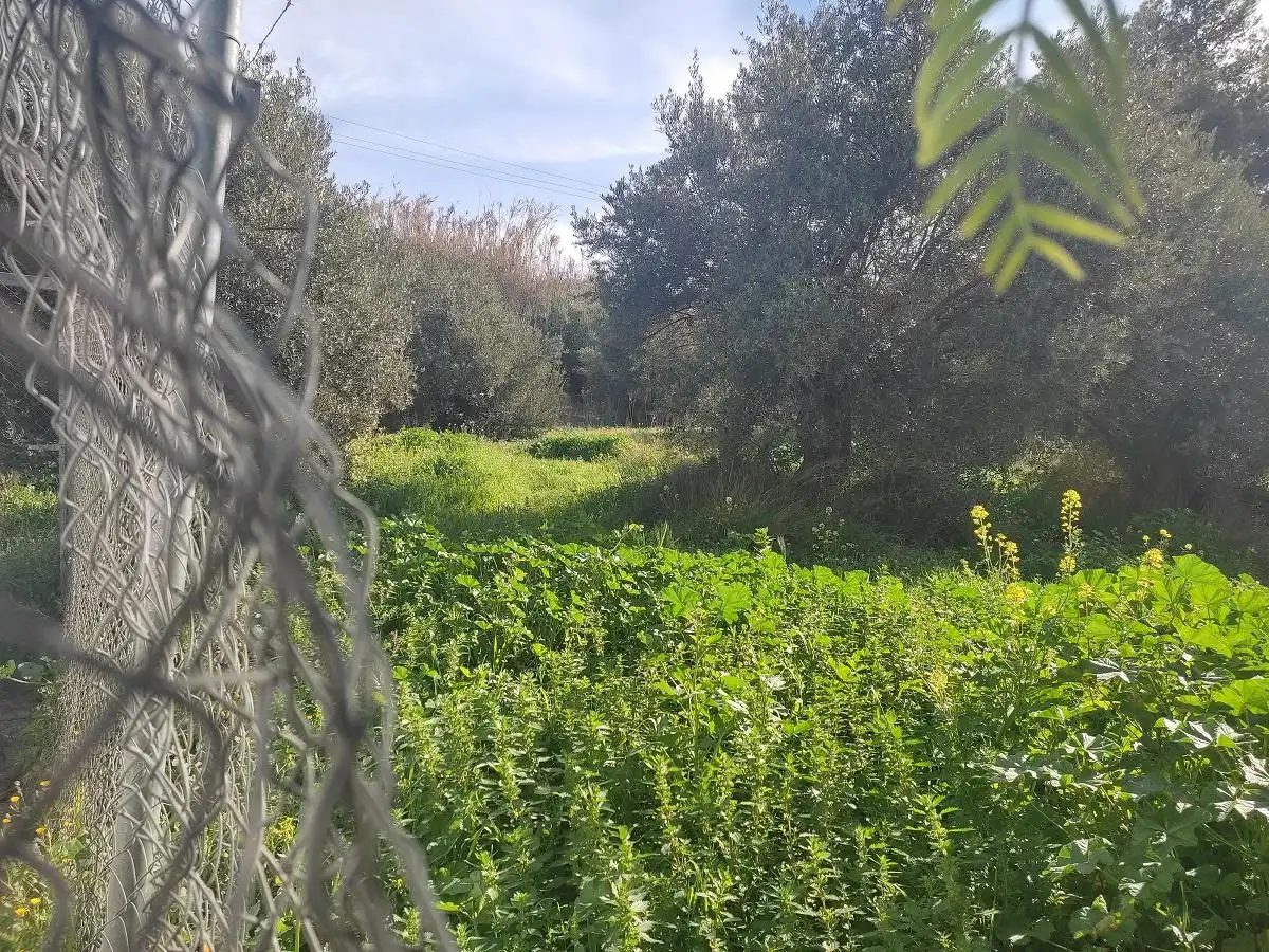 Terreni e lotti in vendita a Urbanización Puente de la Reina 23, imagen 5