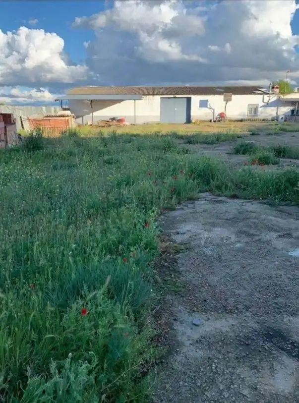 Casa en venda a Calzada de Calatrava, imagen 13
