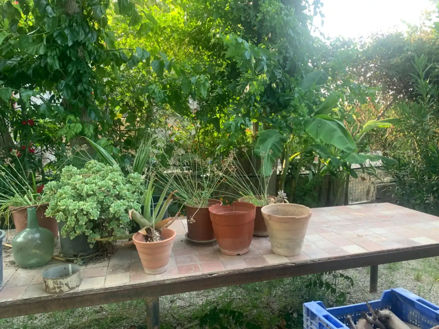 Finca rústica en venda a Alquerías