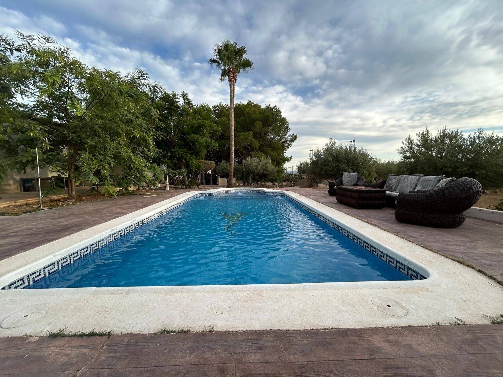 Piscina de Casa o xalet en venda en Elche / Elx amb Aire condicionat, Jardí privat i Terrassa